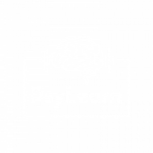 PsyLearn Logo
